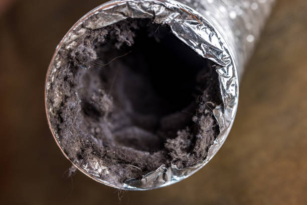 Best Industrial Air Duct Cleaning in Pequot Lakes, MN